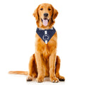 Penn State Dog Bandana – Licensed Double-Sided Pet Bandana With Paisley Design Pet Bandana - YinzerShop