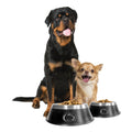 Penn State Dog Bowl – Durable Stainless Steel Pet Feeding Bowl with Team Logo Pet Bowl - YinzerShop