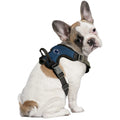 Penn State University Front Clip Pet Harness Pet Harness - YinzerShop