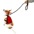 Penn State University Pet Mini Backpack Pet Mini Backpack - YinzerShop