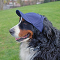 Pet Baseball Hat – Penn State University Licensed Team Hat With Adjustable Neck Strap Pet Hat - YinzerShop