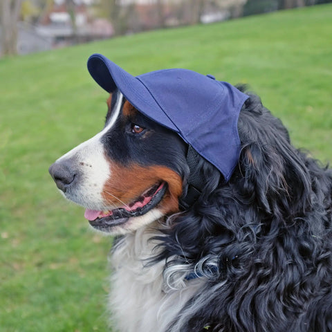 Pet Baseball Hat – Penn State University Licensed Team Hat With Adjustable Neck Strap Pet Hat - YinzerShop