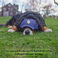 Pet Baseball Hat – Penn State University Licensed Team Hat With Adjustable Neck Strap Pet Hat - YinzerShop