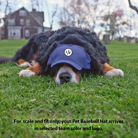 Pet Baseball Hat – Penn State University Licensed Team Hat With Adjustable Neck Strap Pet Hat - YinzerShop