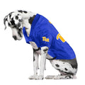 Pet Stretch Jersey | University of Pittsburgh Big Dog Sports Jersey with Bold Team Colors Pet Jersey - YinzerShop