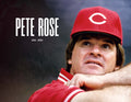 Pete Rose Tribute Book – Collector's Edition Baseball Legend Hardcover Book - YinzerShop