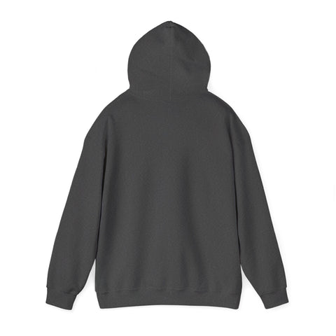 Pittsburgh Girl Retro Unisex Heavy Blend™ Hooded Sweatshirt Hoodie - YinzerShop
