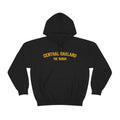 Pittsburgh Neighborhood - Central Oakland - The 'Burgh Neighborhood Series -Hooded Sweatshirt Hoodie Printify Black S 