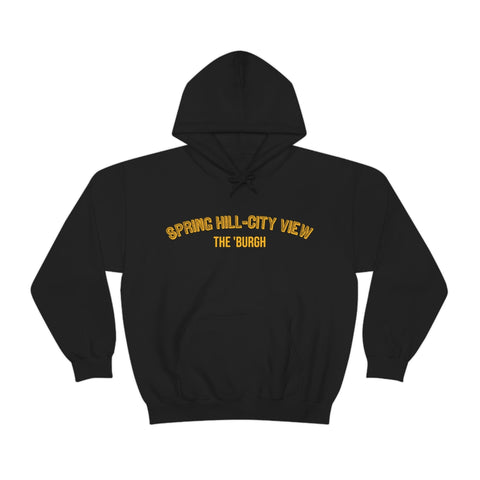 Pittsburgh Neighborhood - Spring Hill-City View - The 'Burgh Neighborhood Series -Hooded Sweatshirt Hoodie Printify Black S 