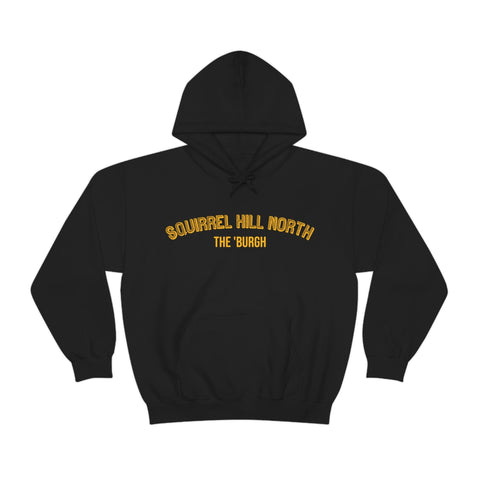 Pittsburgh Neighborhood - Squirrel Hill North - The 'Burgh Neighborhood Series -Hooded Sweatshirt Hoodie Printify Black S 