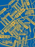 Oakland, Pittsburgh Street Map College Map Prints School Street Posters   