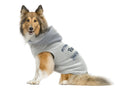 Pittsburgh Pet Hoodie - Licensed University of Pittsburgh Apparel | Cozy Dog Sweatshirt Pet Hooded Crewneck - YinzerShop