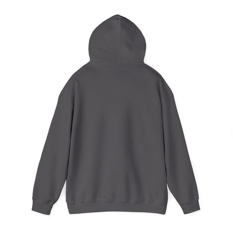Pittsburgh Steel Hoodie - Classic Fit Sweatshirt | Medium Weight Hooded Sweatshirt Hoodie - YinzerShop