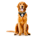 Pittsburgh Steelers Bandana - Official Pet Bandana | Adjustable, Double-Sided Dog Scarf Pet Bandana - YinzerShop