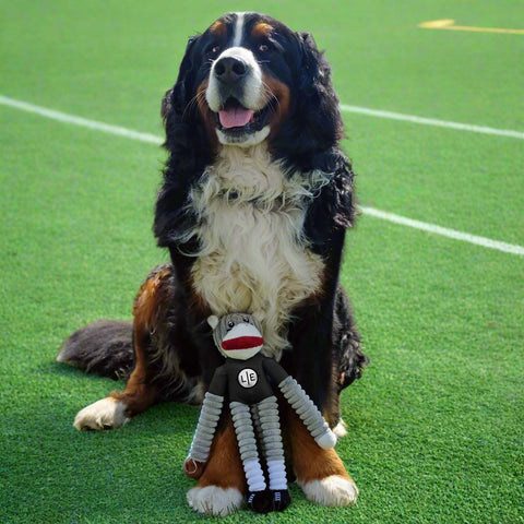 Pittsburgh Steelers Dog Toy | NFL Pet Toy Soft Plush Chew & Tug Team Mascot Pet Toy - YinzerShop