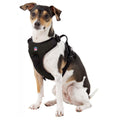 Pittsburgh Steelers Front Clip Pet Harness Pet Harness - YinzerShop
