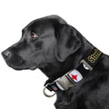 Pittsburgh Steelers Pet Collar – Adjustable NFL Dog & Cat Collar With Matte Finish Hardware Pet Collar - YinzerShop