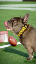 Pittsburgh Steelers Pet Collar – Official NFL Licensed Terrible Towel Dog Collar Pet Collar - YinzerShop