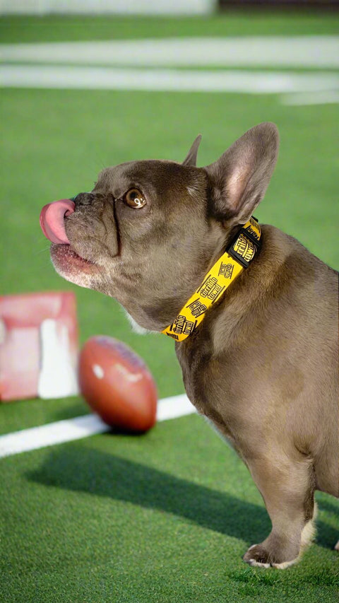 Pittsburgh Steelers Pet Collar – Official NFL Licensed Terrible Towel Dog Collar Pet Collar - YinzerShop
