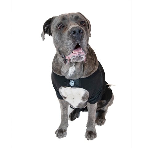 Pittsburgh Steelers Pet Jersey – Official Team Apparel | Comfortable NFL Pet Shirt Pet Jersey - YinzerShop