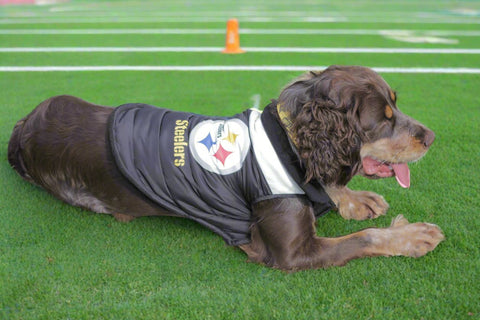 Pittsburgh Steelers Pet Vest – Quilted Pet Parka With Soft Fleece Lining & Reflective Stripe Pet Parka Vest - YinzerShop