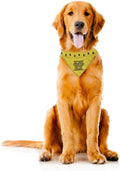 Pittsburgh Steelers Terrible Towel Pet Bandana – Reversible | NFL Licensed Gear Pet Accessories - YinzerShop