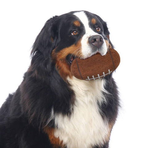 Pittsburgh Steelers Tough Chewer Dog Football Toy - Officially Licensed Pet Toy - YinzerShop