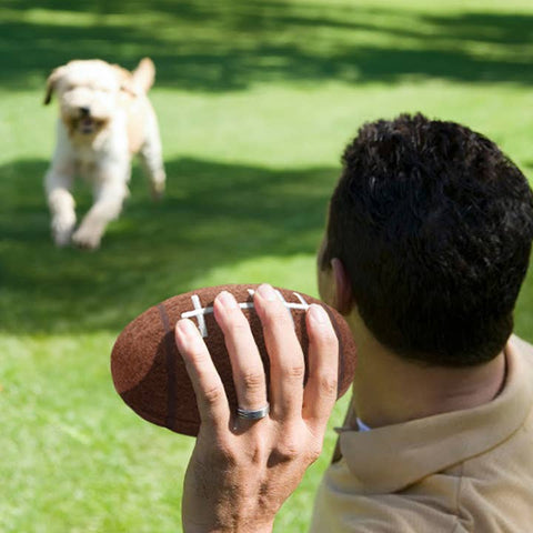 Pittsburgh Steelers Tough Chewer Dog Football Toy - Officially Licensed Pet Toy - YinzerShop