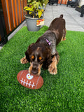 Pittsburgh Steelers Tough Chewer Dog Football Toy - Officially Licensed Pet Toy - YinzerShop