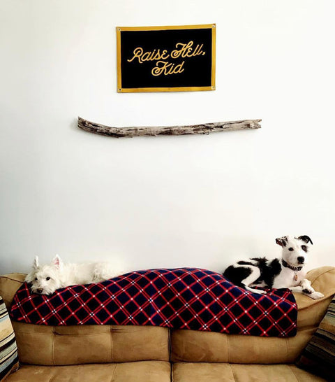 Kid Camp Flag – Raise Hell Black And Gold Durable Nylon Banner 16x24