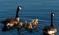 Reflections of: Presque Isle, Erie PA : A Visual Journey Book - YinzerShop