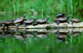 Reflections of: Presque Isle, Erie PA : A Visual Journey Book - YinzerShop