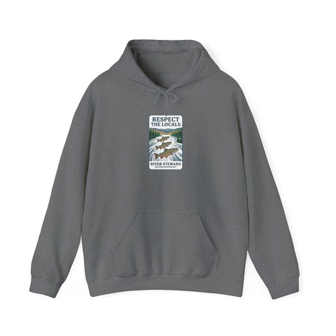 Respect the Locals vintage national park hoodie | Protect Our National Parks, retro outdoors Hoodie - YinzerShop