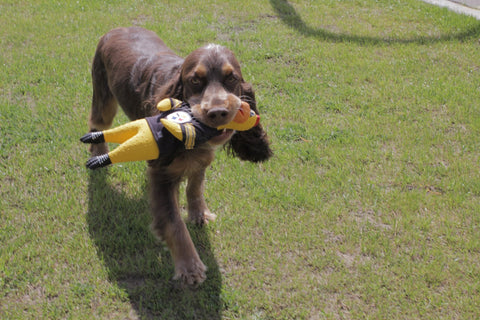 Rubber Chicken Dog Toy - Pittsburgh Steelers Durable Chew Toy with Removable Jersey Pet Toy - YinzerShop