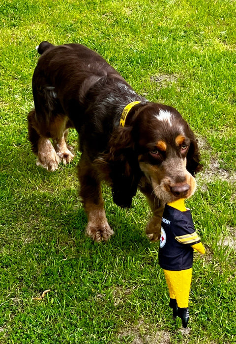 Rubber Chicken Dog Toy - Pittsburgh Steelers Durable Chew Toy with Removable Jersey Pet Toy - YinzerShop
