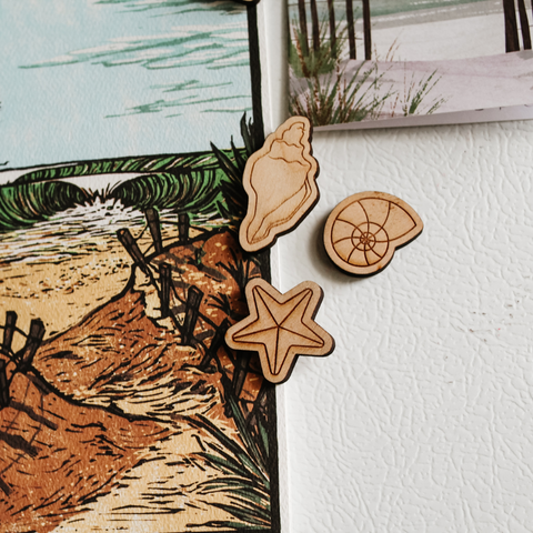 Seashell Magnets, Pack of 6