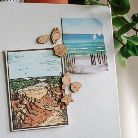 Seashell Magnets, Pack of 6