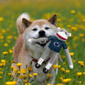 Sock Monkey Pet Toy – Penn State Team Sports Mascot Plush with Hidden Squeaker Pet Toy - YinzerShop