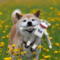 Sock Monkey Pet Toy – University of Pittsburgh Licensed Dog Chew Toy with Squeaker Pet Toy - YinzerShop