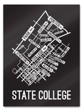 State College, Pennsylvania Street Map print School Street Posters Black Background / White Map 18" x 22" Metal Print