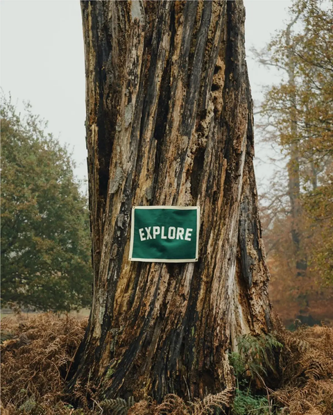 Explore Camp Flag Camp Flag Oxford Pennant   