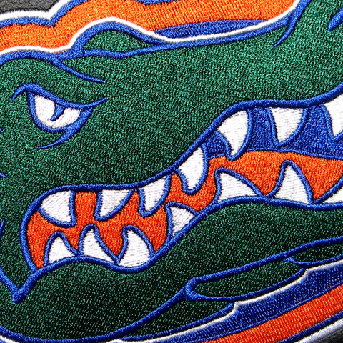 University of Florida Primary Logo Panel