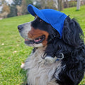 University of Pittsburgh Pet Hat - Adjustable Baseball Cap with Embroidered Logo Pet Baseball Hat - YinzerShop