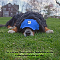 University of Pittsburgh Pet Hat - Adjustable Baseball Cap with Embroidered Logo Pet Baseball Hat - YinzerShop