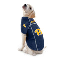 University of Pittsburgh Pet Jersey – Soft Mesh Polyester Dog Game Day Shirt Pet Jersey - YinzerShop