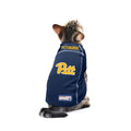 University of Pittsburgh Pet Jersey – Soft Mesh Polyester Dog Game Day Shirt Pet Jersey - YinzerShop