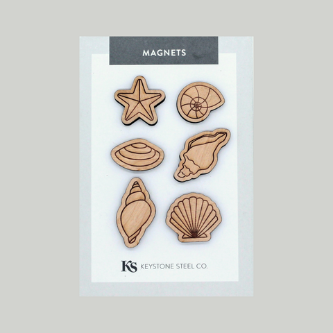 Seashell Magnets, Pack of 6